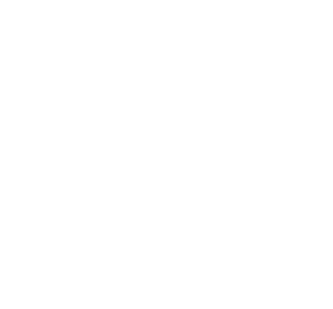 EMBASSY OF INDIA – Logo